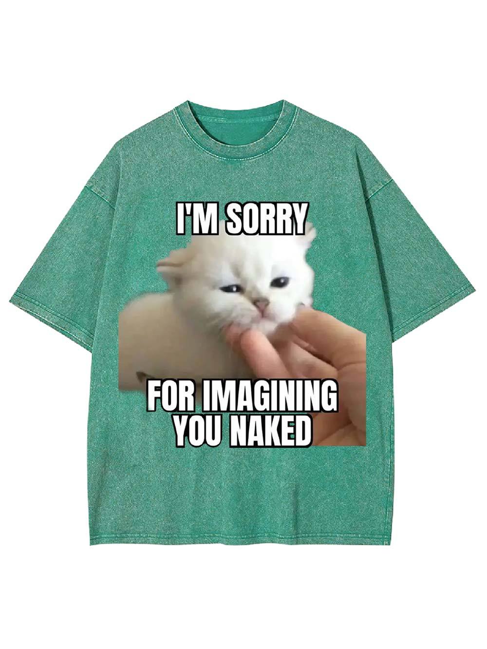 I'm Sorry for Imagining You Naked Washed Tshirt