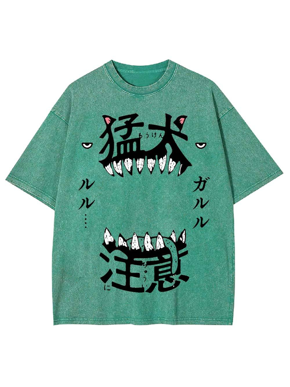 Beware of the Fierce Dog Washed Tshirt