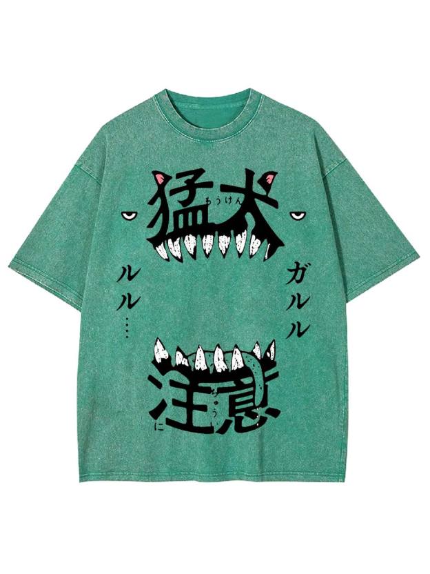 Beware of the Fierce Dog Washed Tshirt