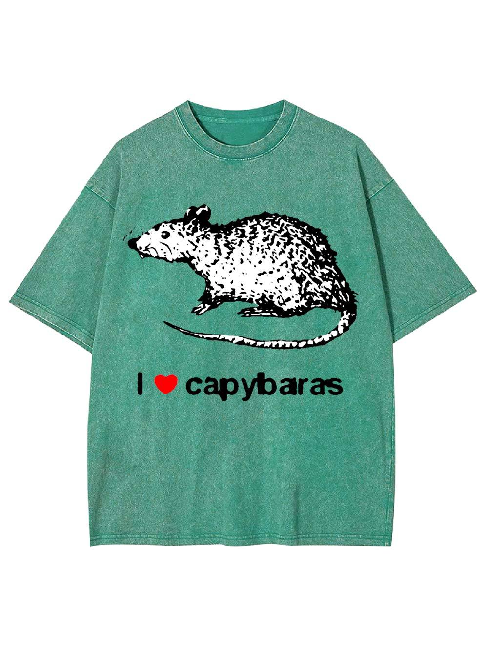 I Love Capybaras Washed Tshirt