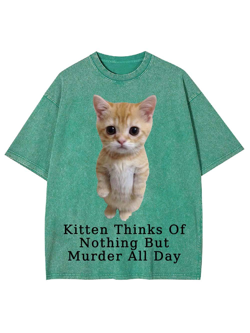 Kitten Thinks Of Nothing But Murder All Day Washed Tshirt