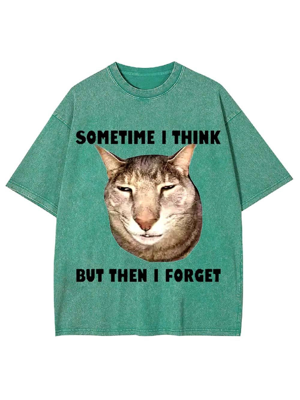 Sometime I Think   But Then I Forget  Washed Tshirt