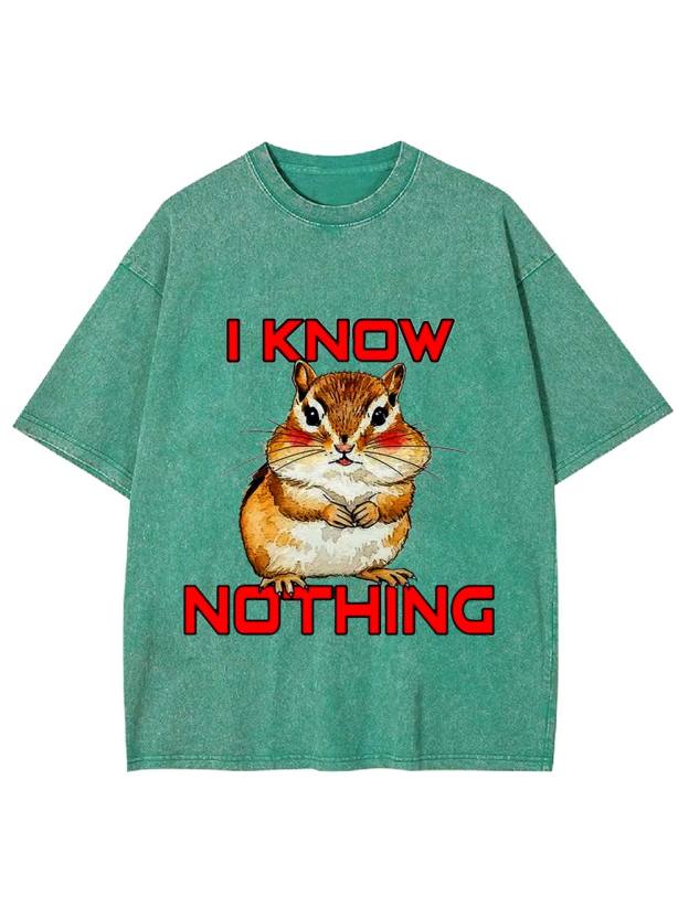 I Know Nothing Washed Tshirt