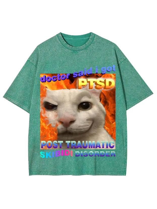 Post Traumatic Skibidi Disorder Washed Tshirt
