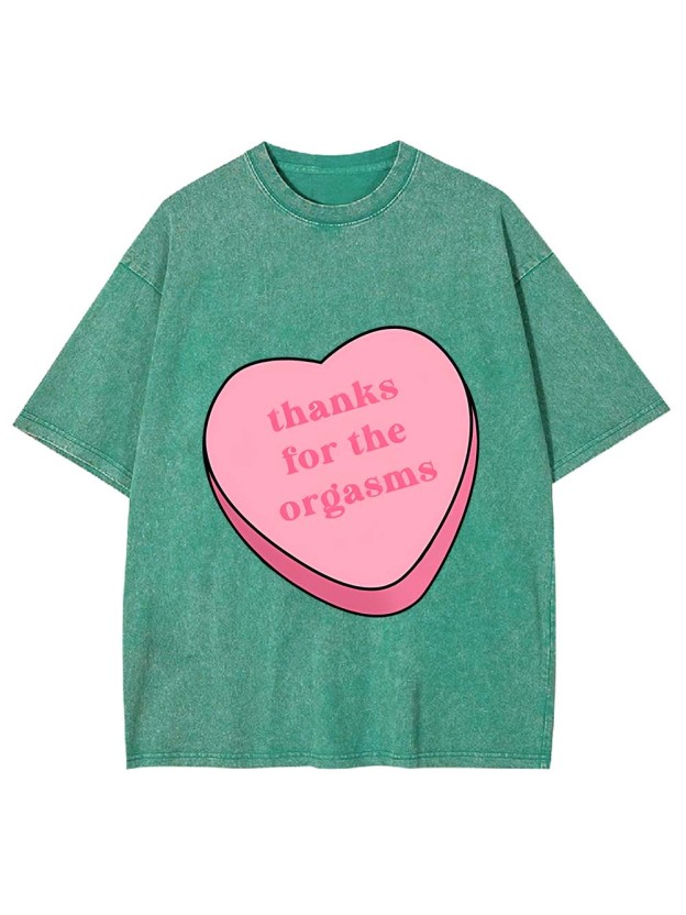 Thanks For The Orgasms Washed Tshirt