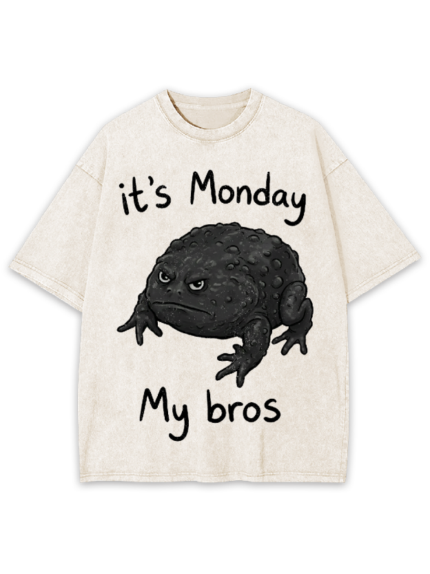 It's Monday My bros Washed Tshirt