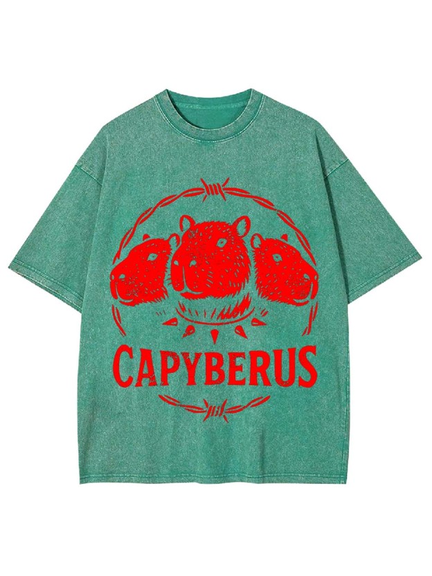 Capyberus Washed Tshirt