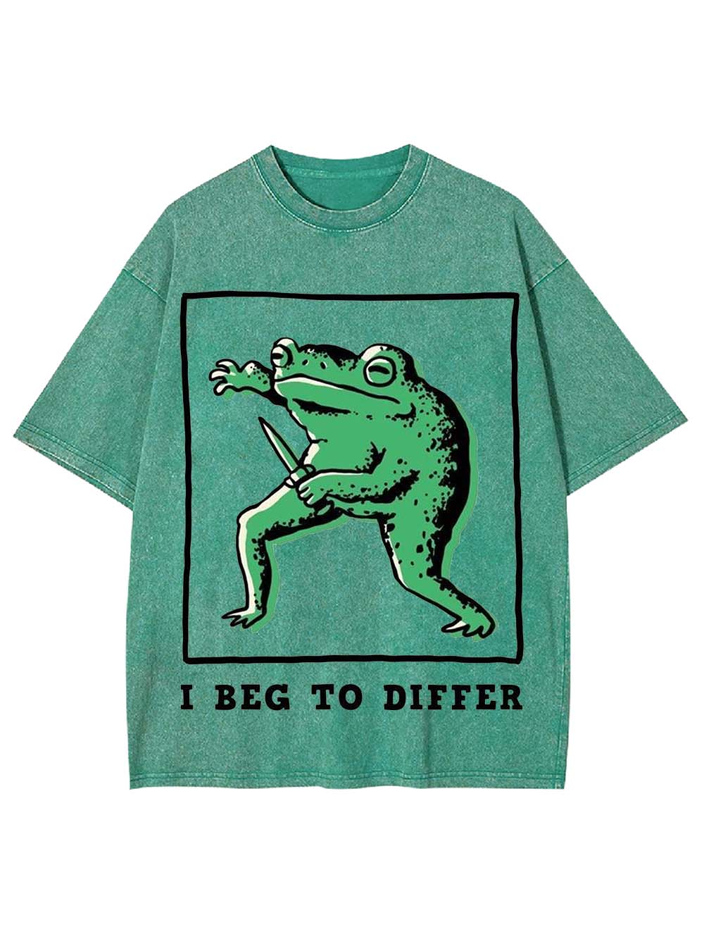 I Beg To Differ Washed Tshirt