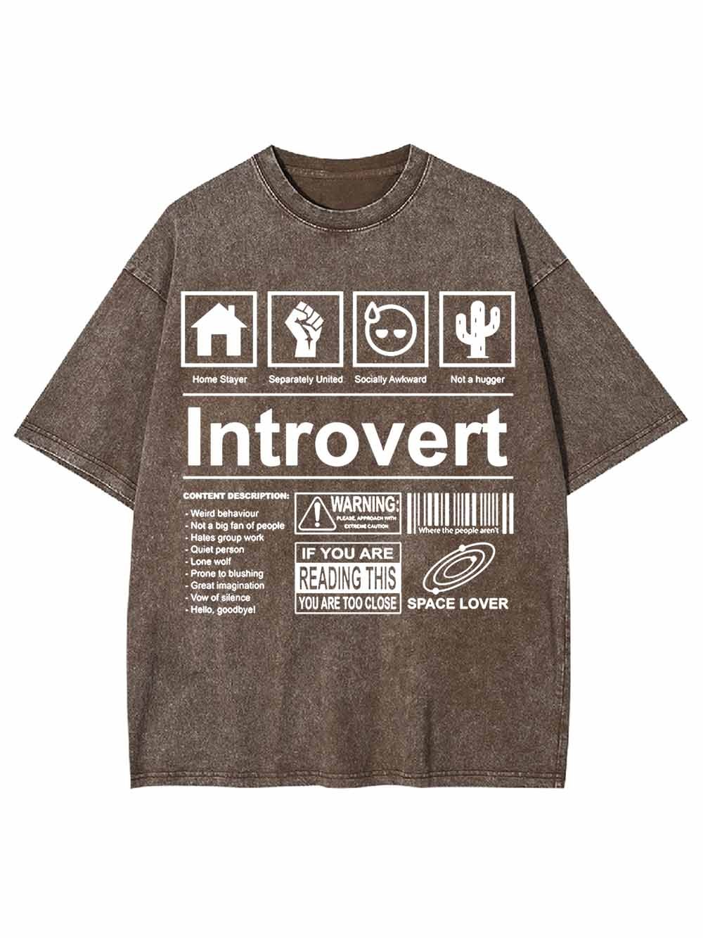 Introvert Washed Tshirt