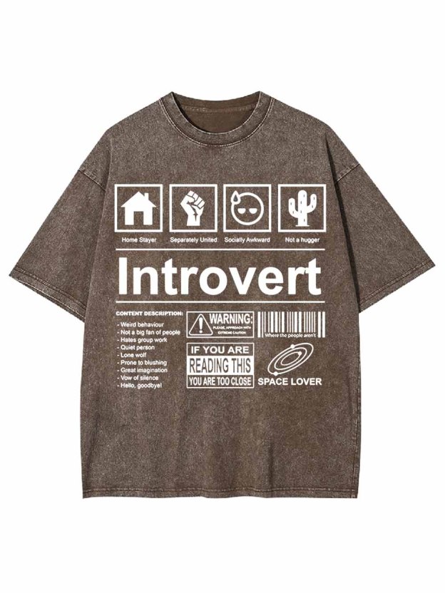 Introvert Washed Tshirt