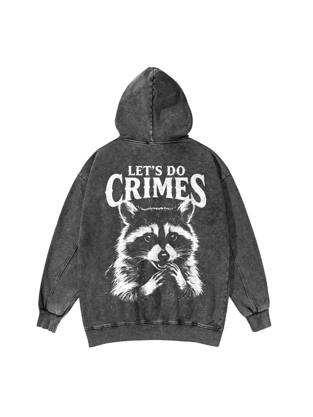 CRIMINAL RACCOON PLANS WASHED HOODIE