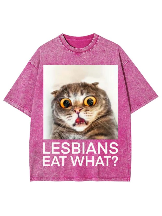 LESBIANS EAT WHAT? WASHED TSHIRT