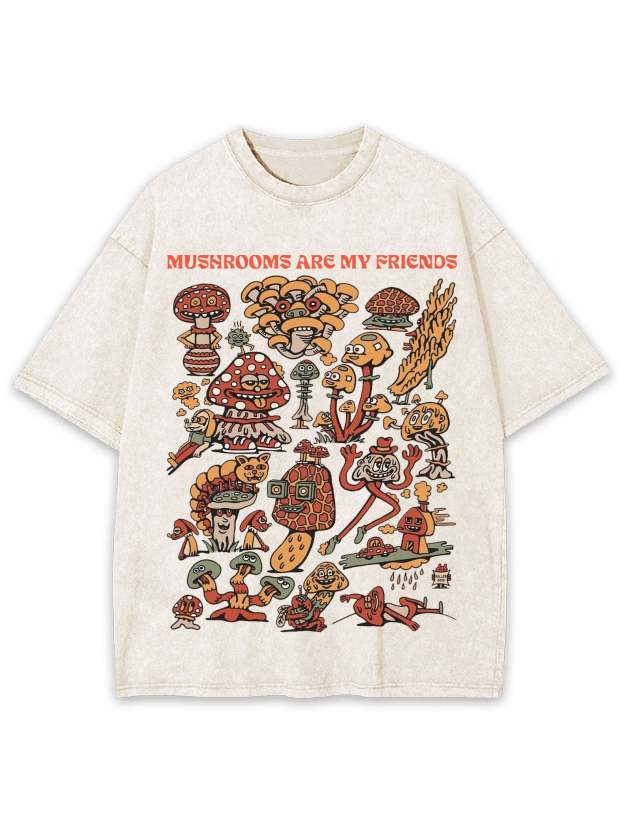 My Friends Washed Tshirt