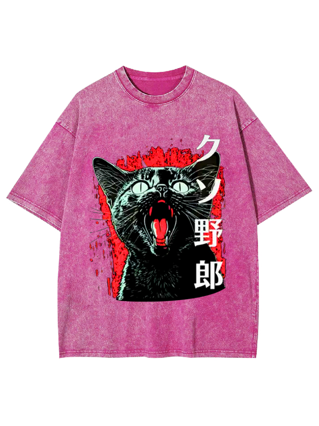 Fierce Feline Fury Washed Tshirt