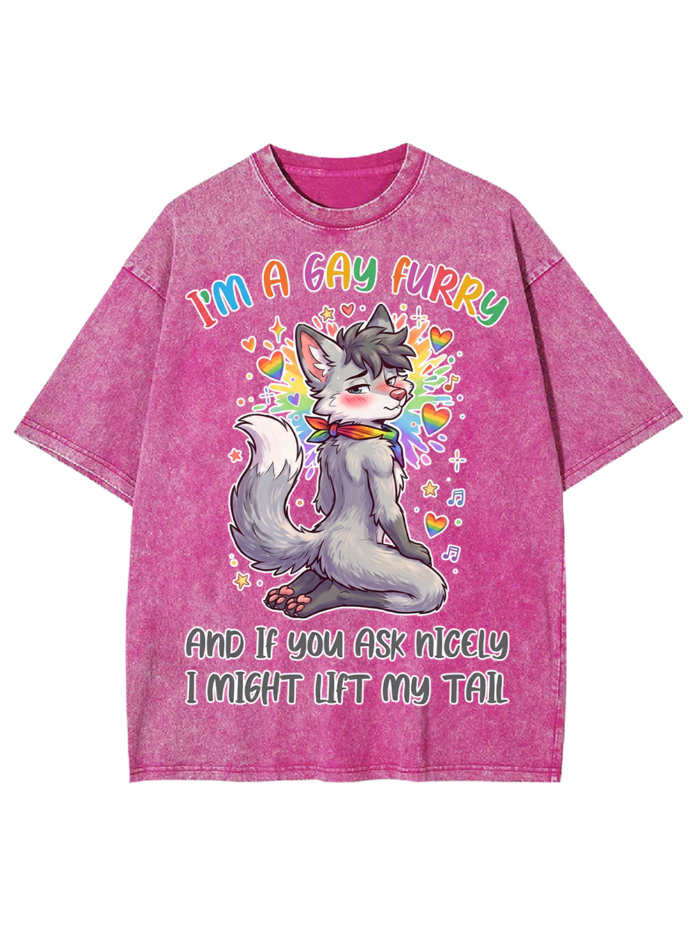 I'M A GAY FURRY AAA WASHED TSHIRT