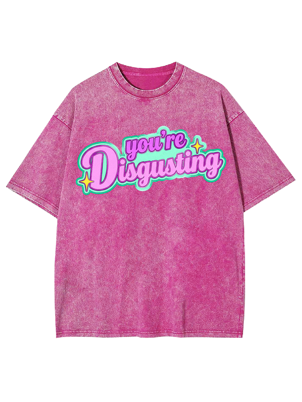 YOU’RE DISGUSTING AAA WASHED TSHIRT