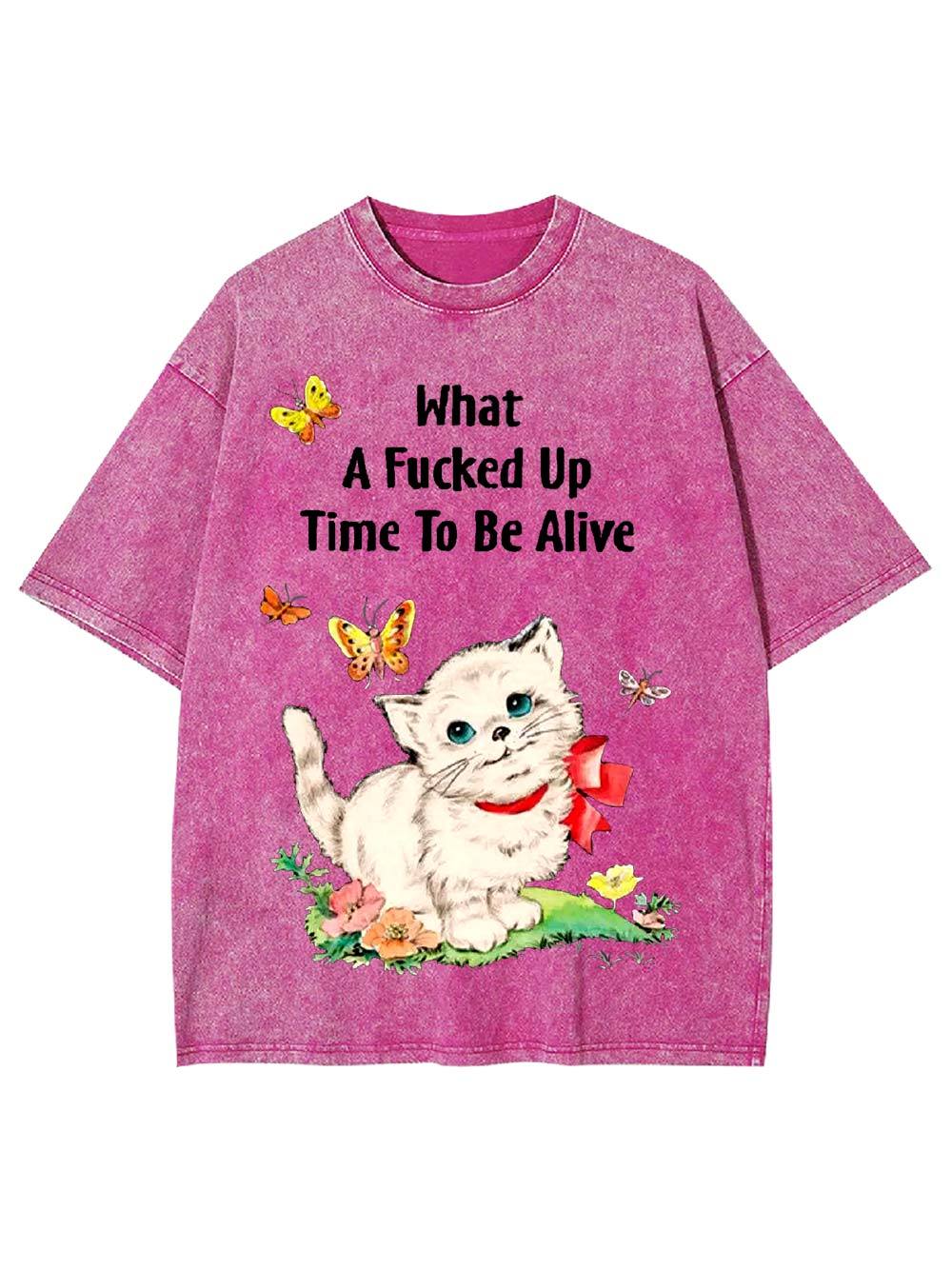 What A Fucked Up Time To Be Alive Washed Tshirt