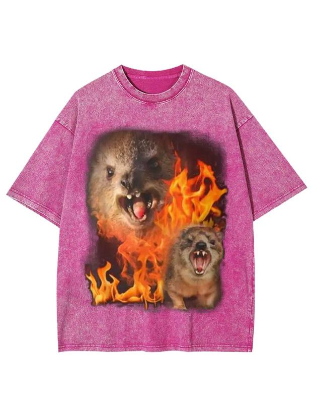 Fury in Flames Washed Tshirt