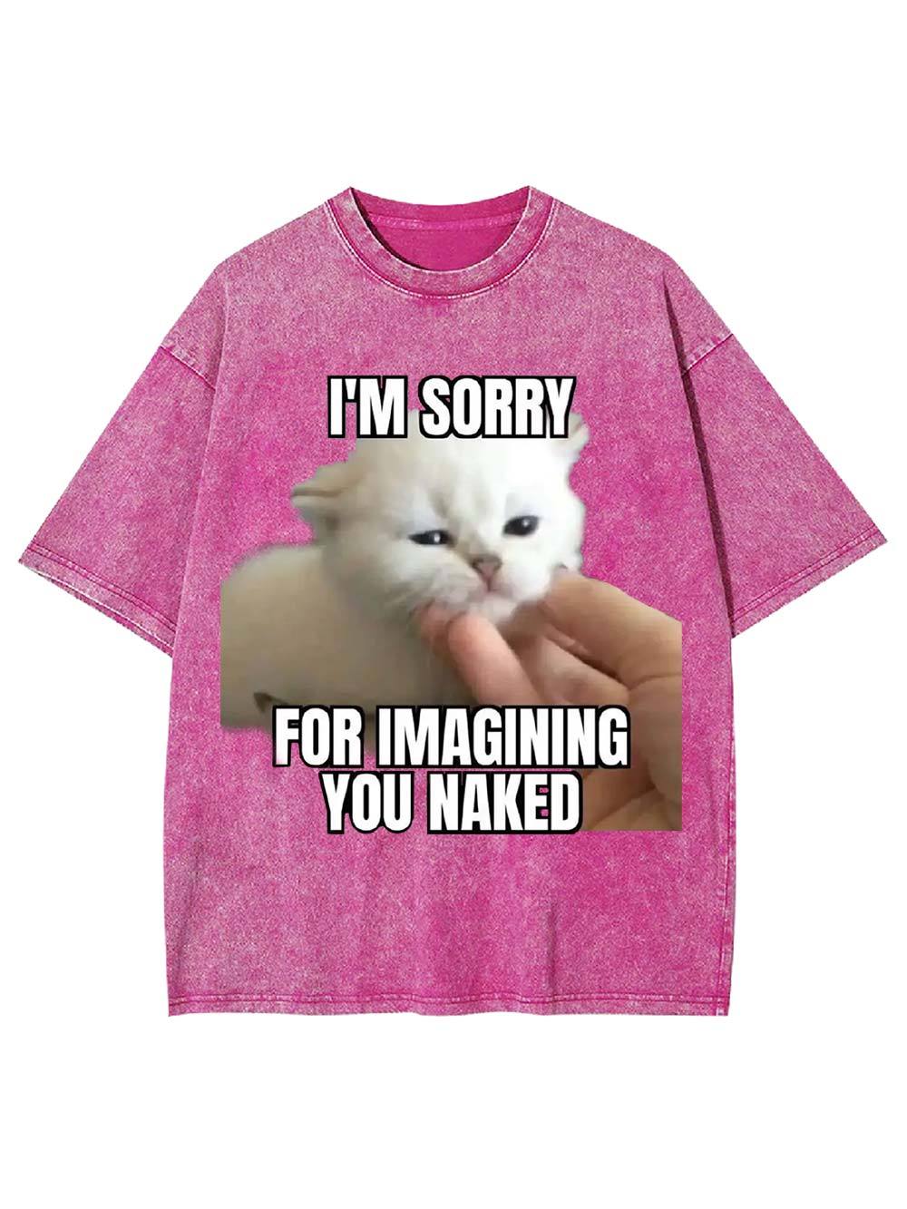 I'm Sorry for Imagining You Naked Washed Tshirt