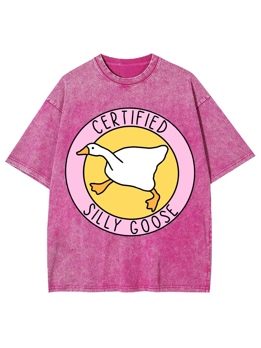 Certified Silly Goose Washed Tshirt
