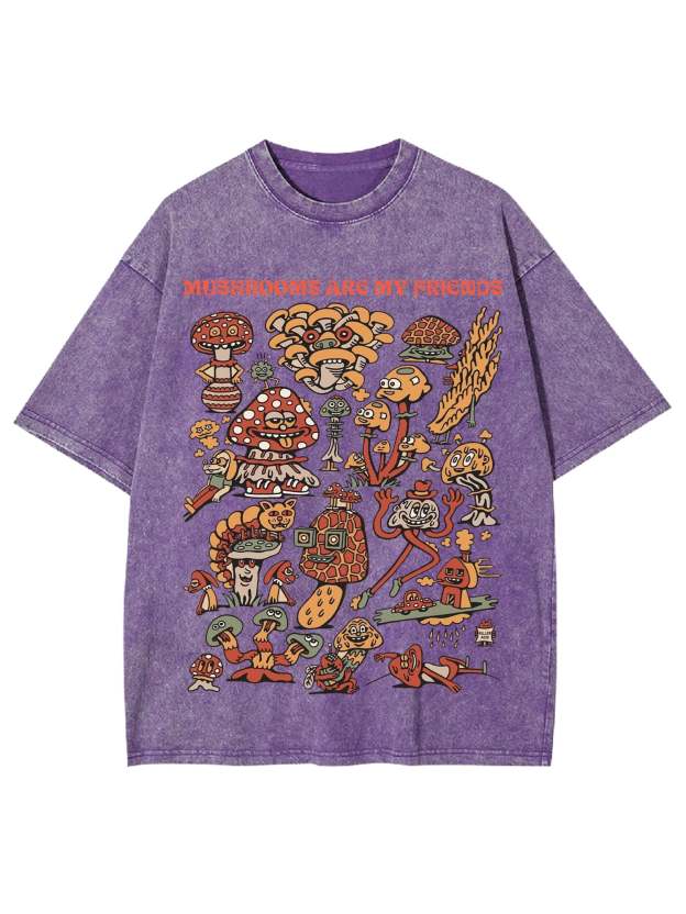 My Friends Washed Tshirt