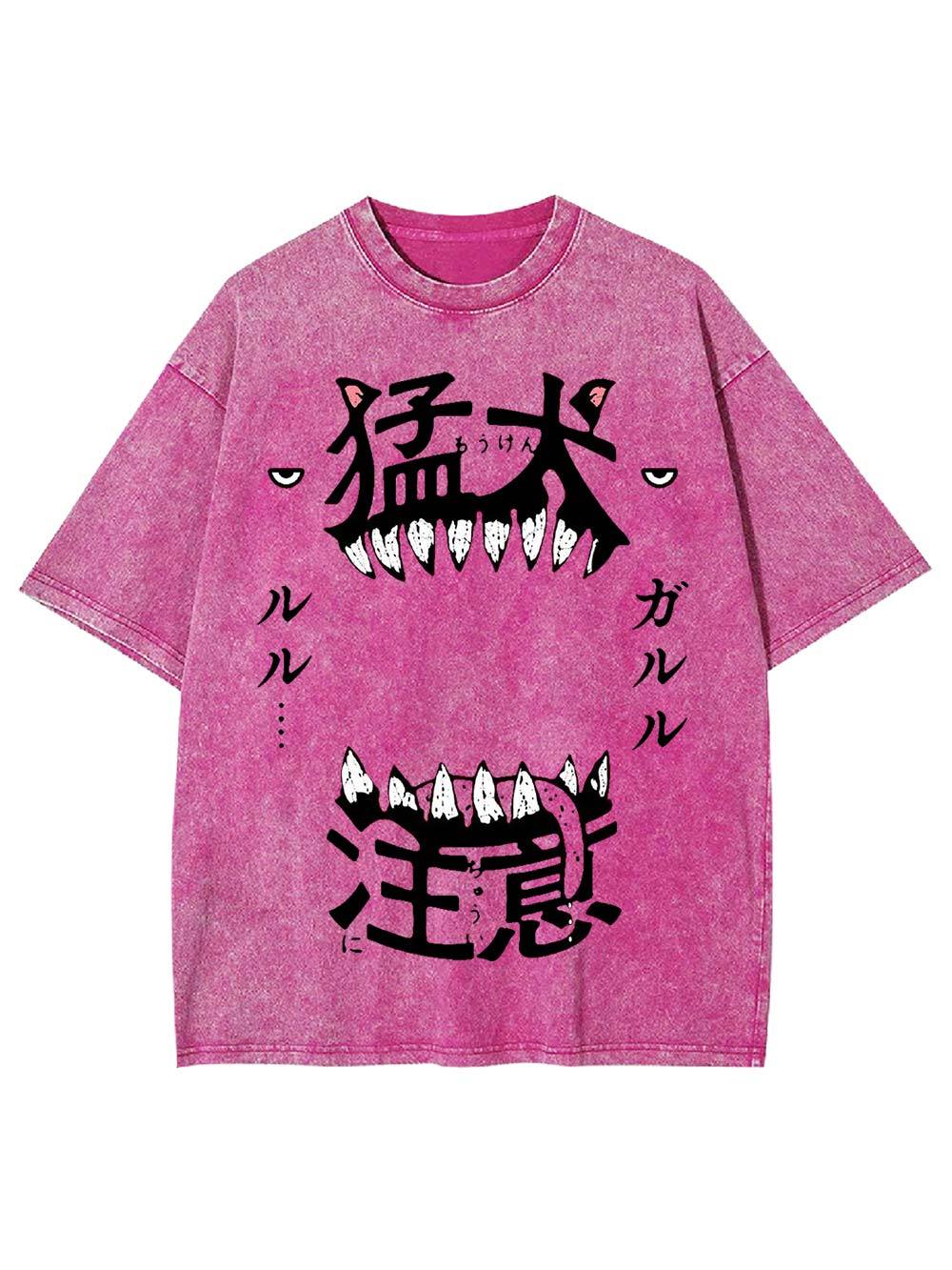 Beware of the Fierce Dog Washed Tshirt