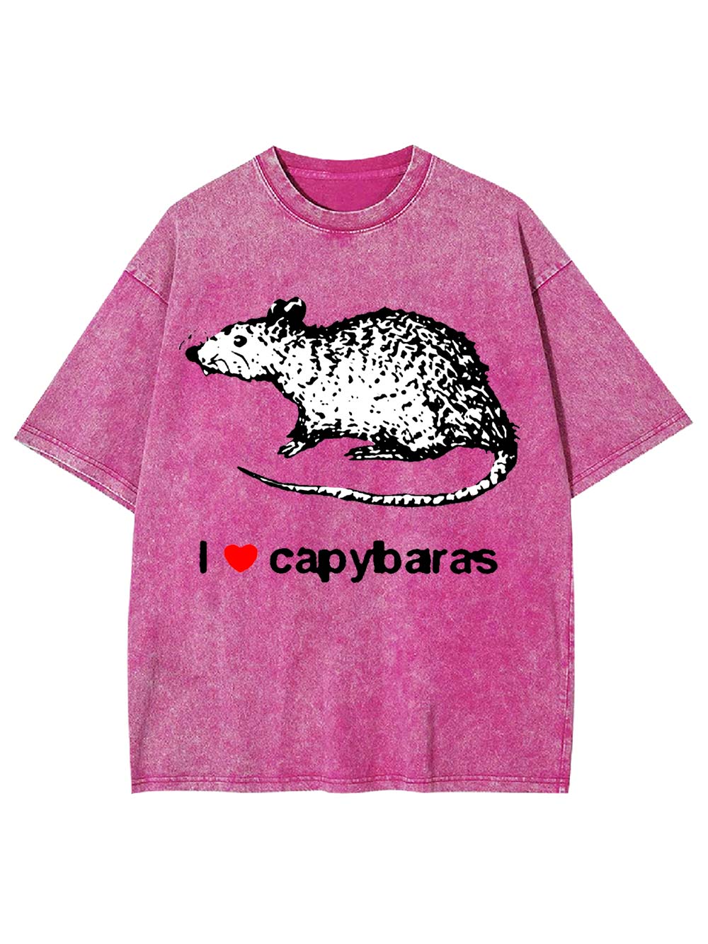 I Love Capybaras Washed Tshirt
