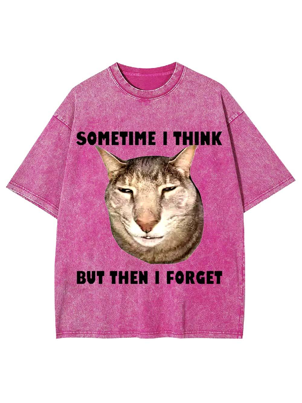 Sometime I Think   But Then I Forget  Washed Tshirt