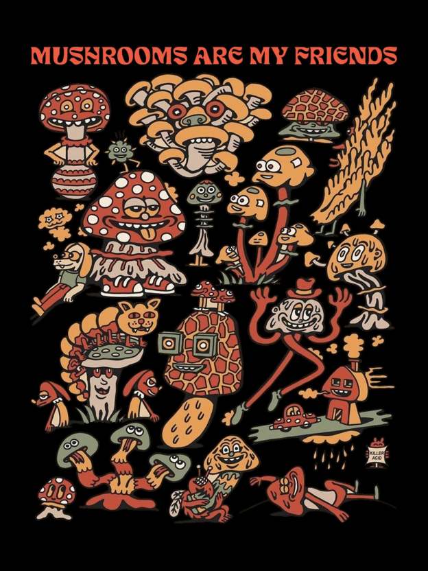 My Friends Washed Tshirt