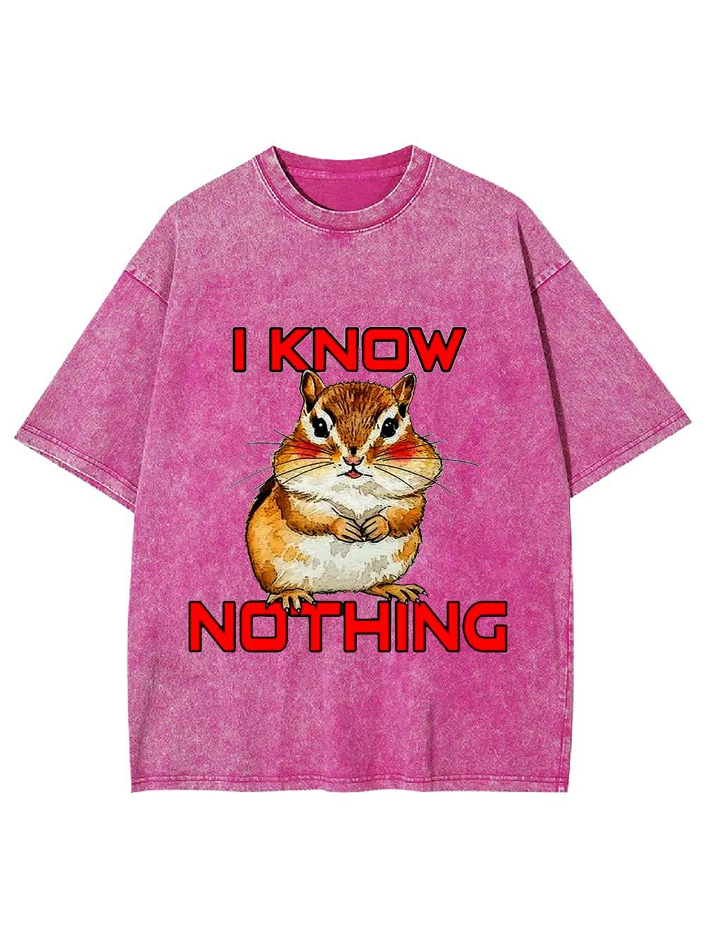 I Know Nothing Washed Tshirt