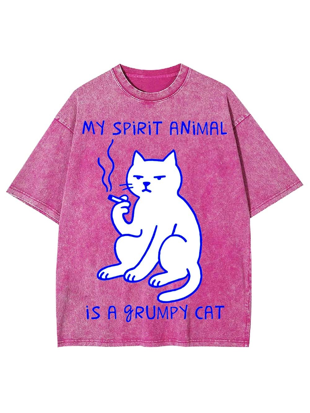 My Spirit Animal Is A Grumpy Cat Washed Tshirt