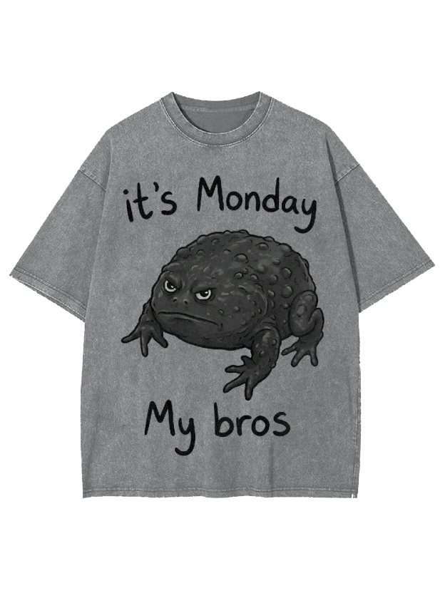 It's Monday My bros Washed Tshirt