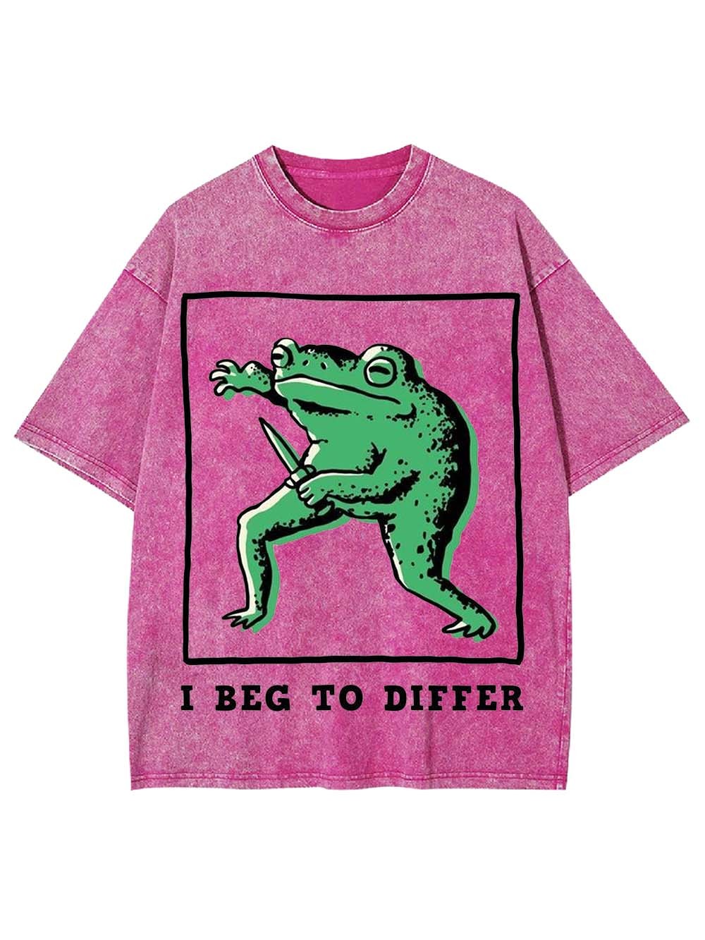 I Beg To Differ Washed Tshirt