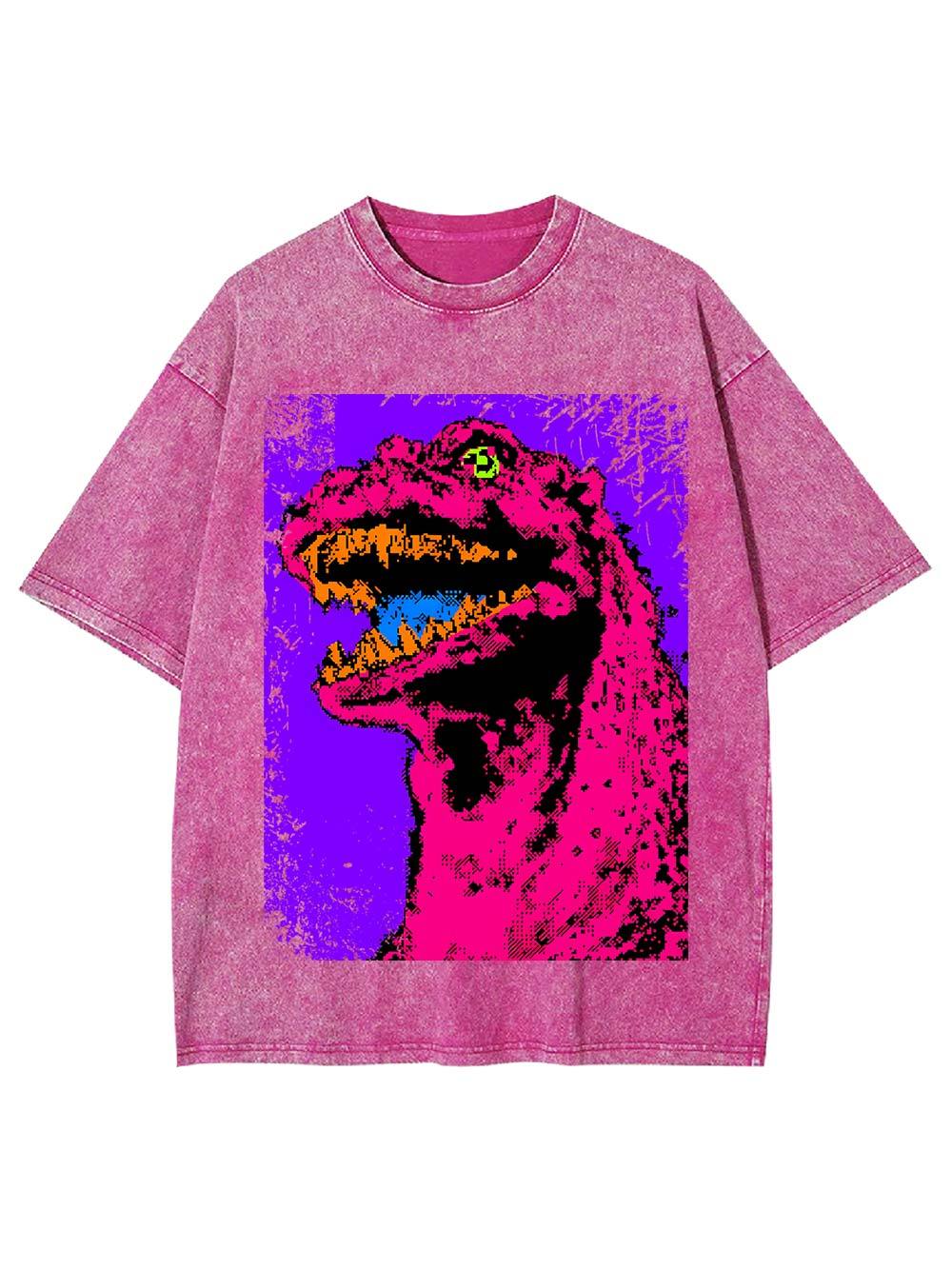 Neon Roar Washed Tshirt