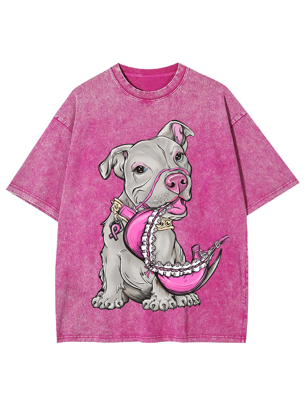 DOG'S DESIRE WASHED TSHIRT