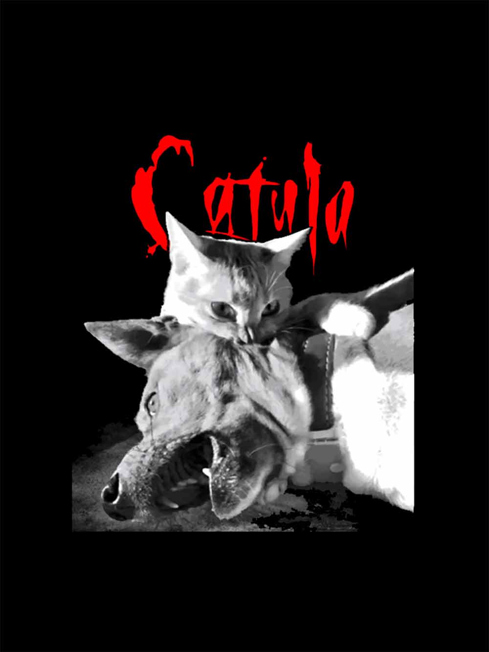 CAT AND WOLF  COMBAT WASHED TSHIRT