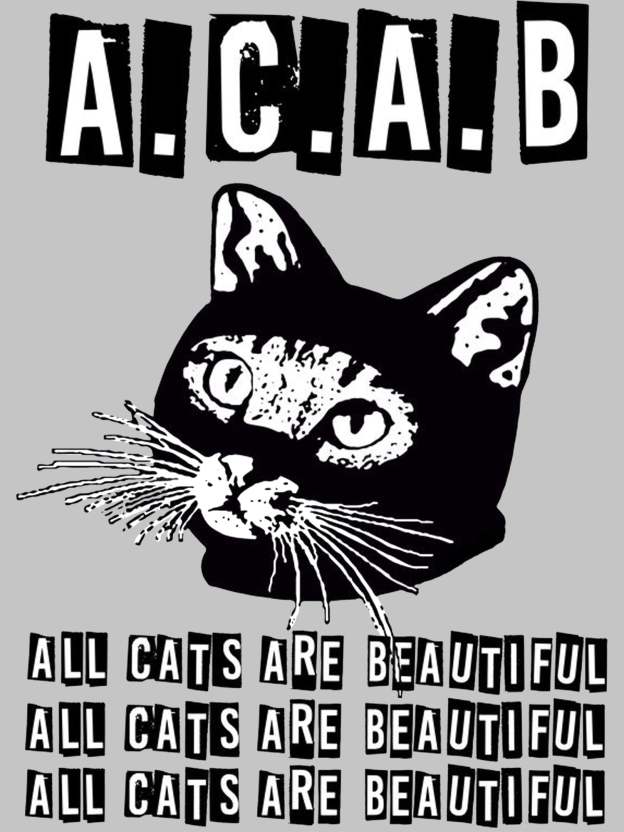 All Cats Are Beautiful Washed Tshirt-ClassyOutlaw