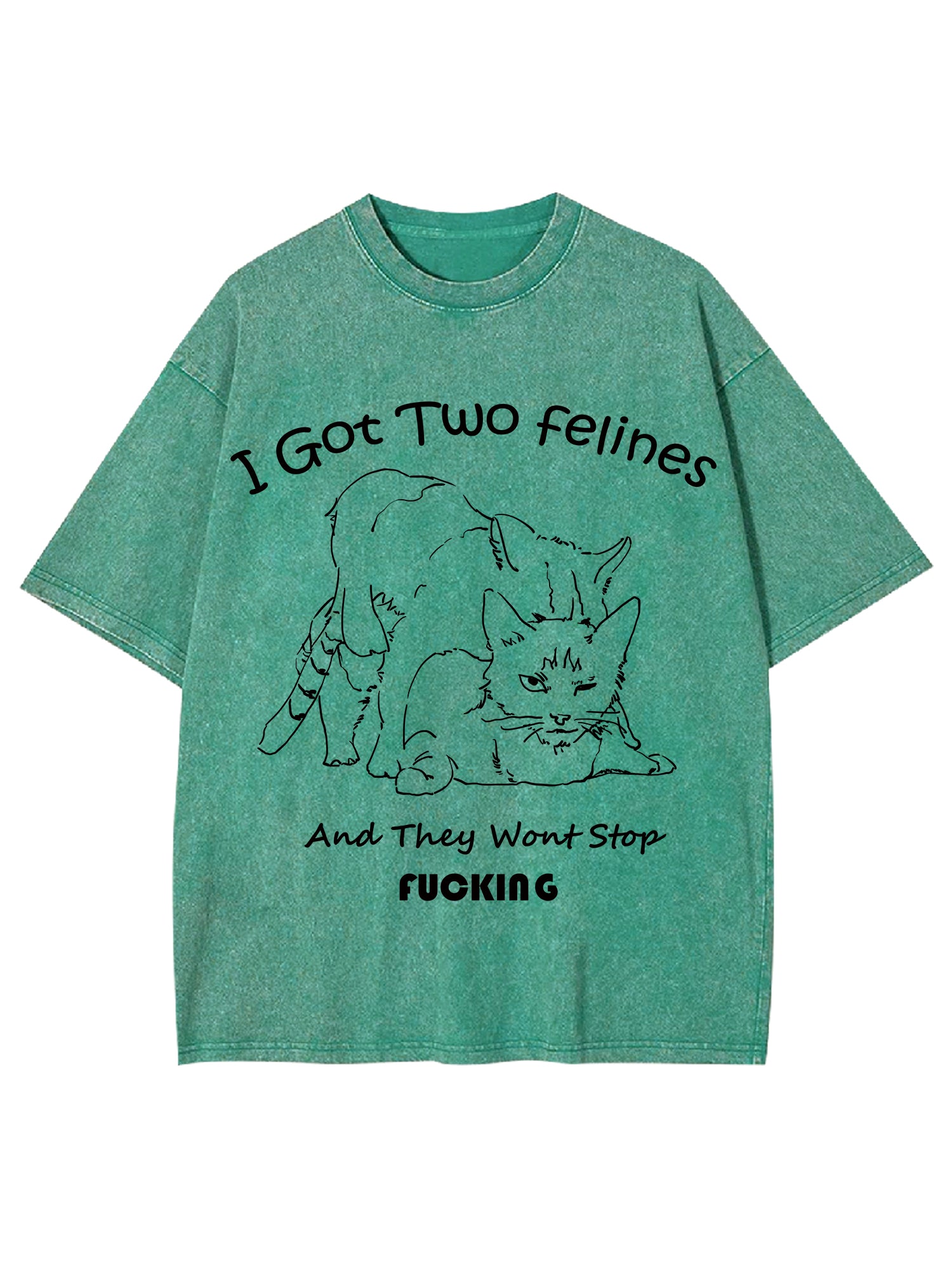 I Got Two Felines And They Want Stop Fucking Washed Tshirt-ClassyOutlaw