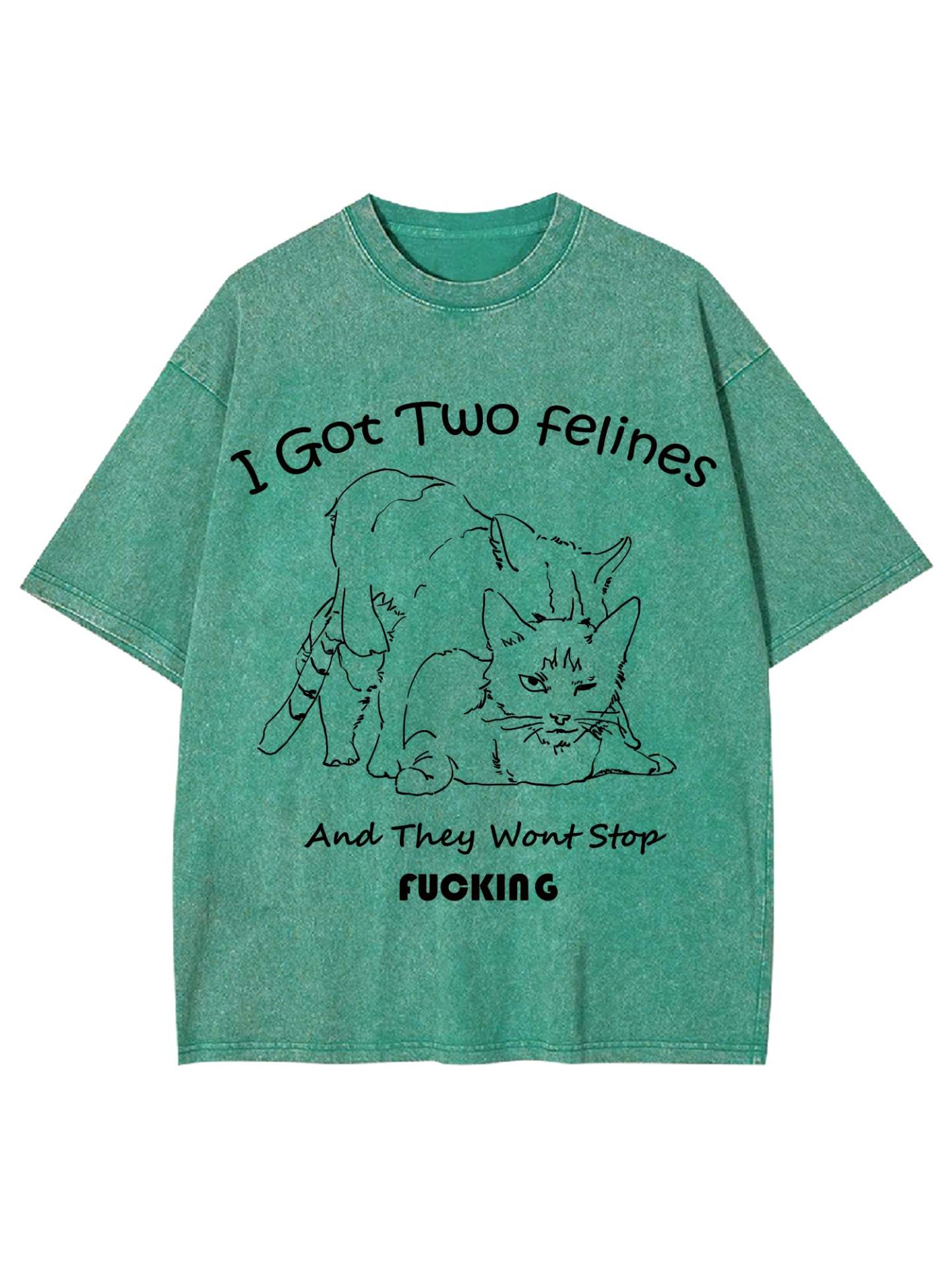 I Got Two Felines And They Want Stop Fucking Washed Tshirt-ClassyOutlaw