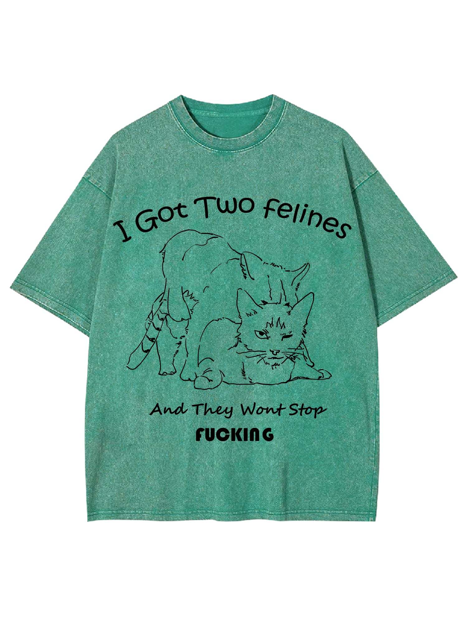 I Got Two Felines And They Want Stop Fucking Washed Tshirt-ClassyOutlaw