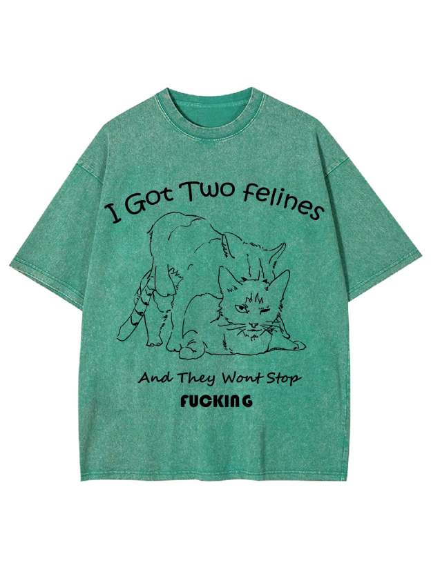 I Got Two Felines And They Want Stop Fucking Washed Tshirt-ClassyOutlaw