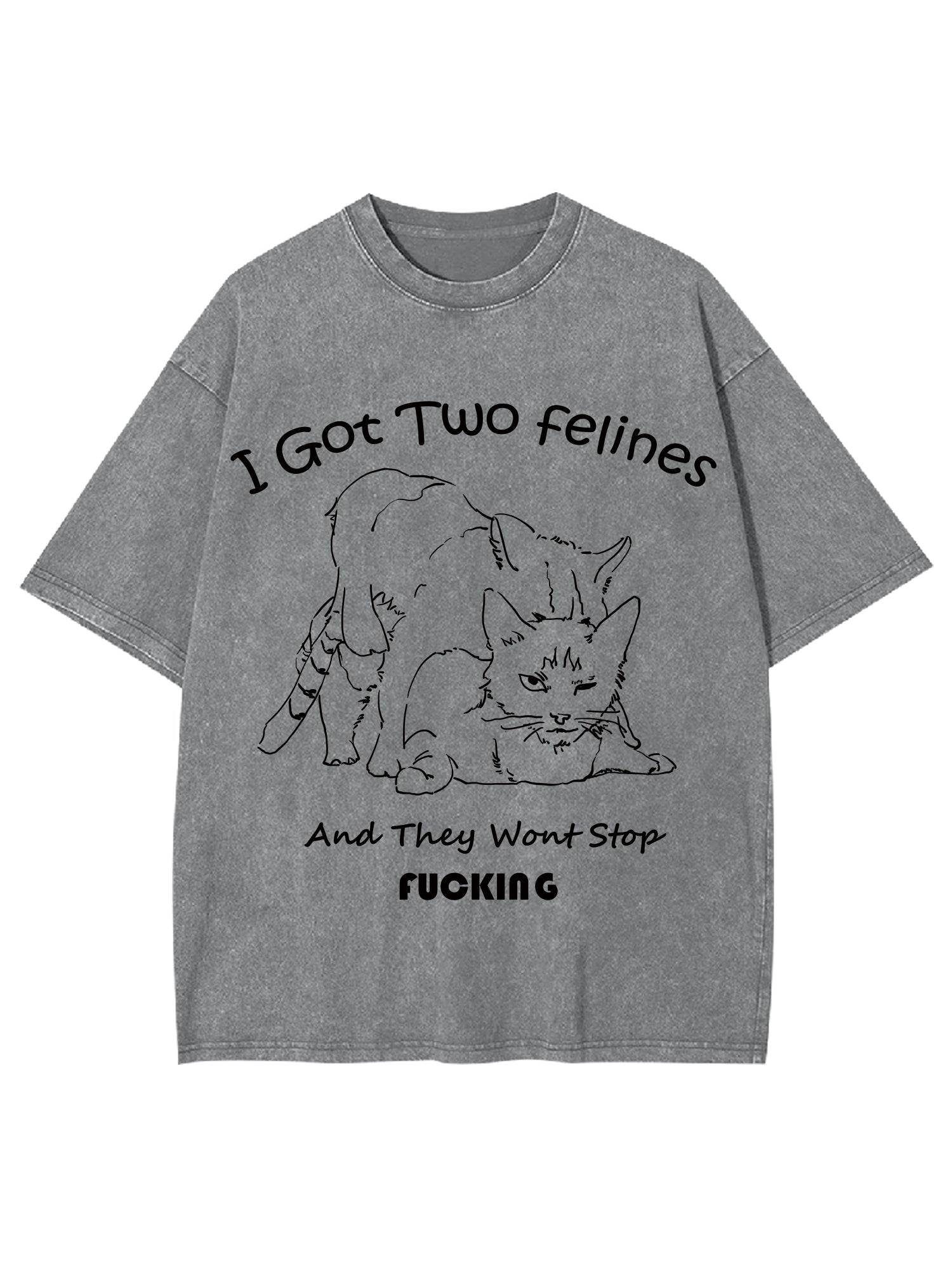 I Got Two Felines And They Want Stop Fucking Washed Tshirt-ClassyOutlaw