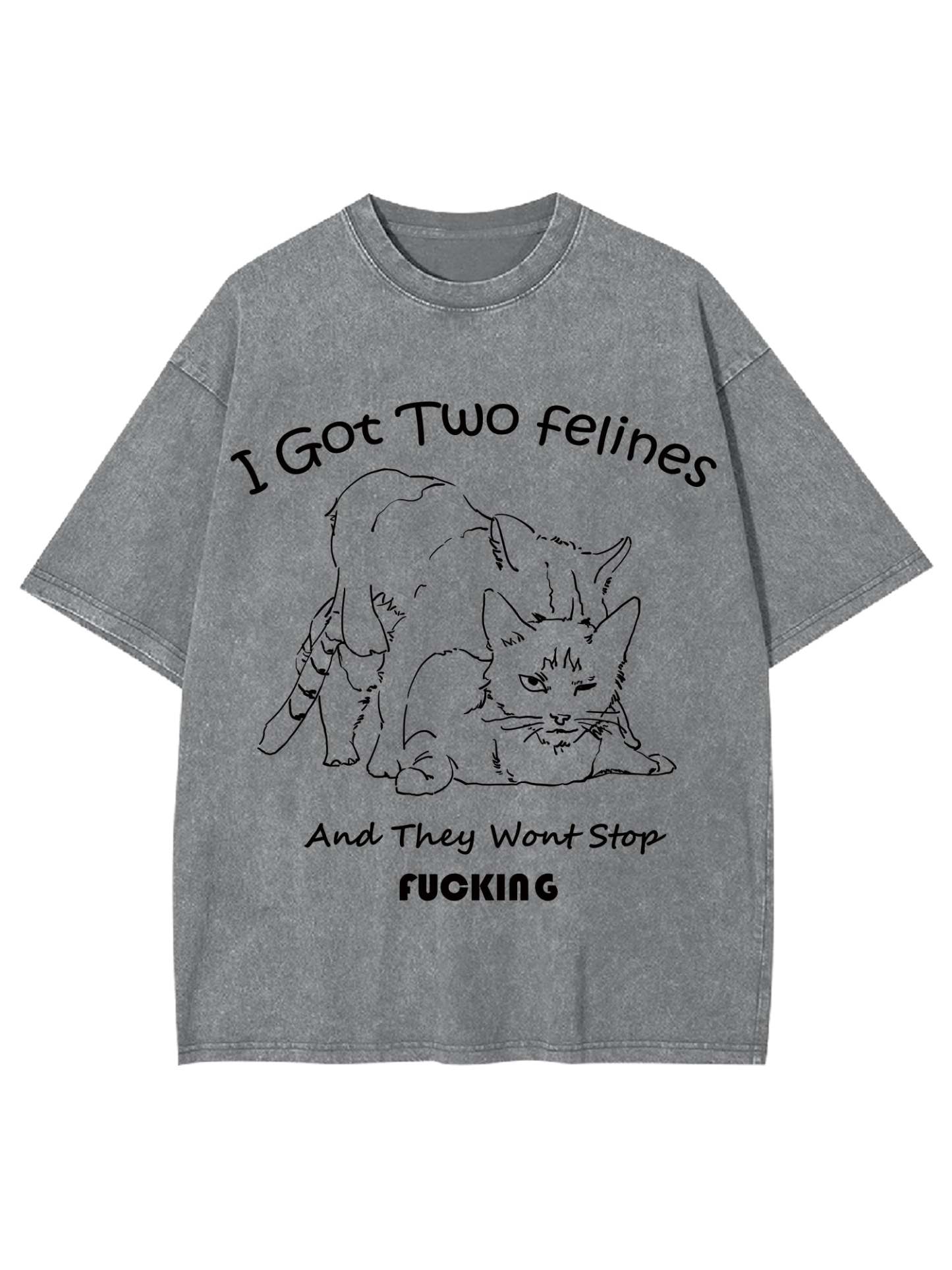 I Got Two Felines And They Want Stop Fucking Washed Tshirt-ClassyOutlaw