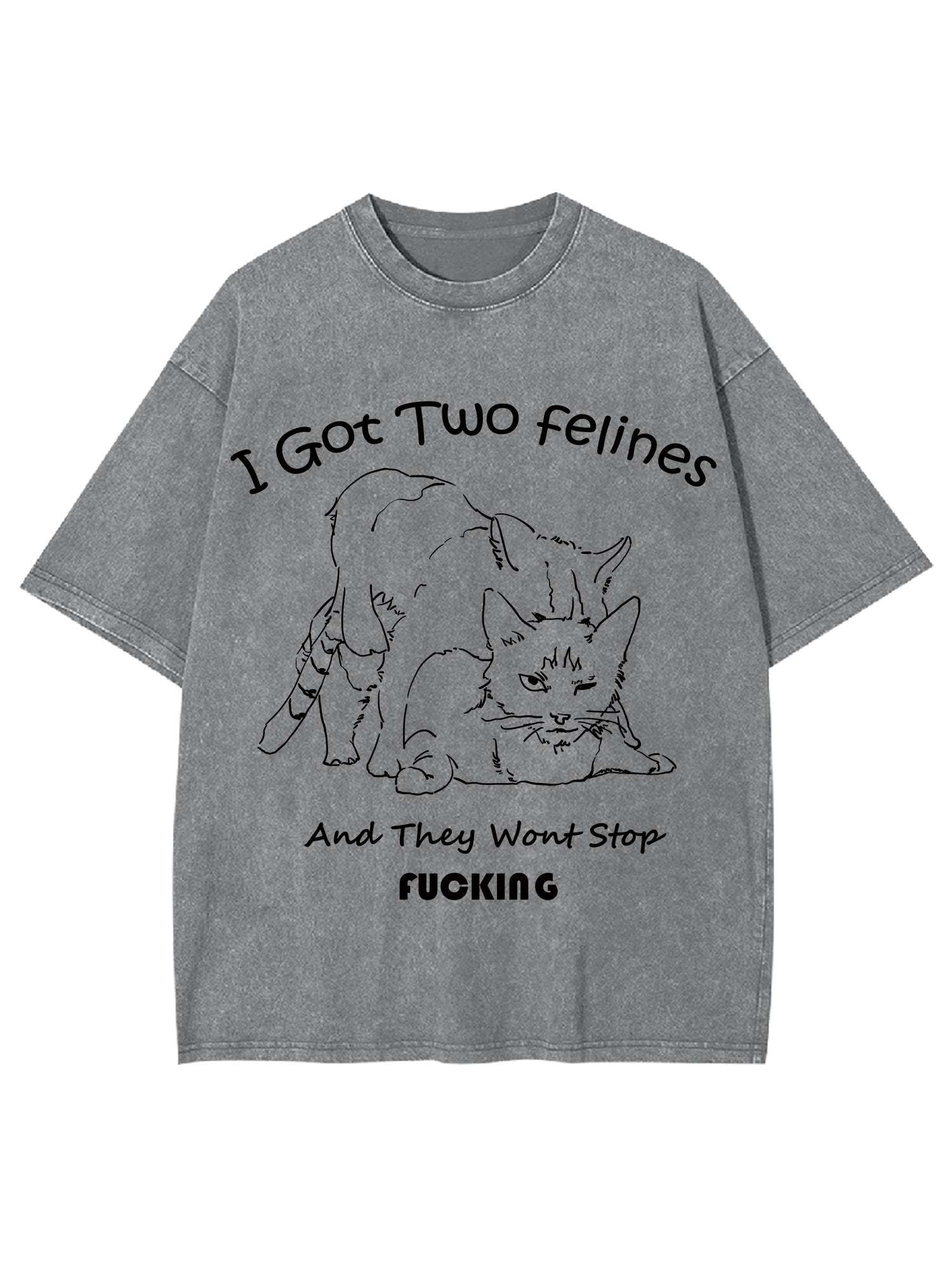 I Got Two Felines And They Want Stop Fucking Washed Tshirt-ClassyOutlaw
