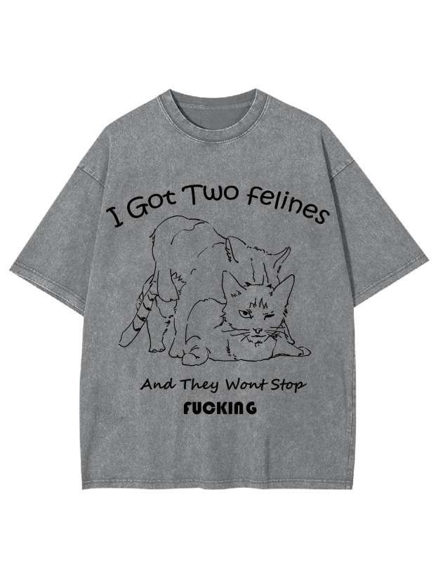 I Got Two Felines And They Want Stop Fucking Washed Tshirt-ClassyOutlaw
