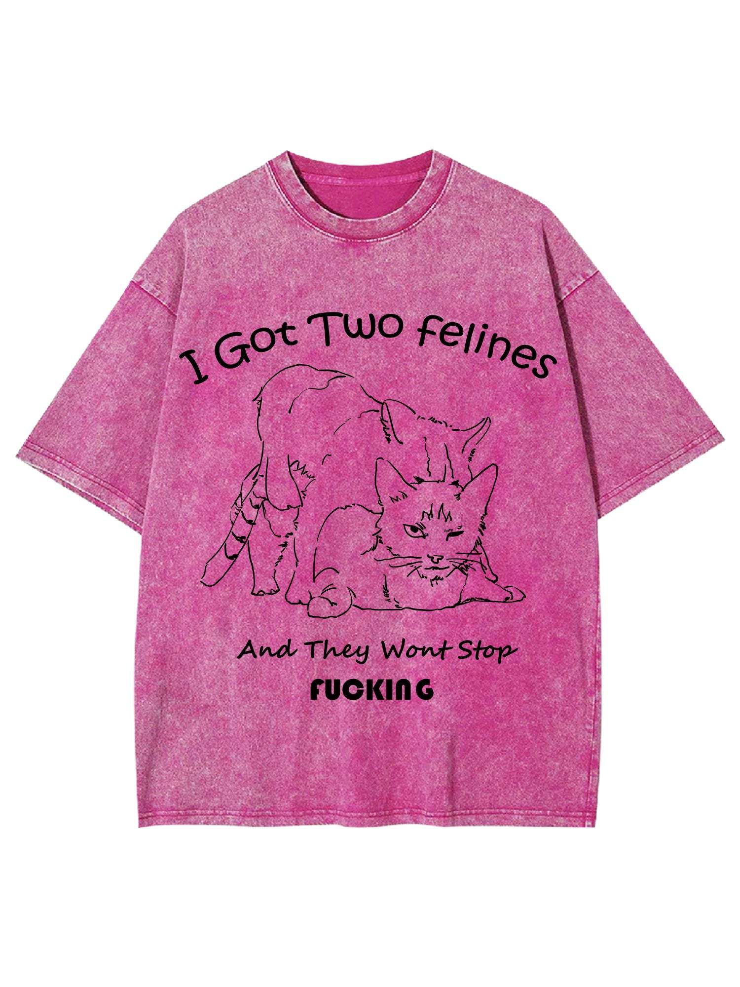 I Got Two Felines And They Want Stop Fucking Washed Tshirt-ClassyOutlaw