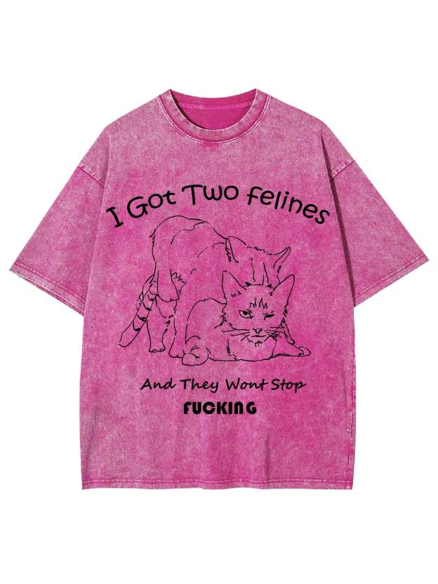 I Got Two Felines And They Want Stop Fucking Washed Tshirt-ClassyOutlaw