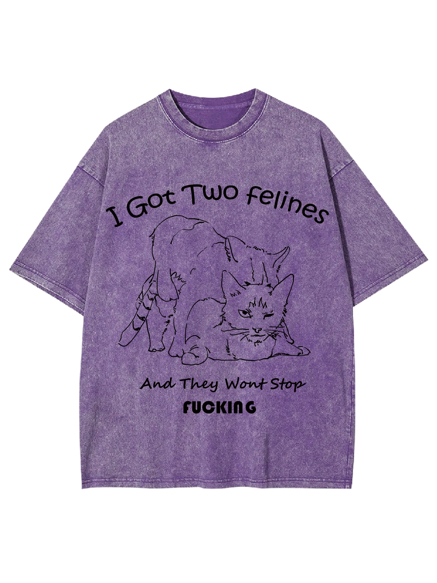 I Got Two Felines And They Want Stop Fucking Washed Tshirt-ClassyOutlaw
