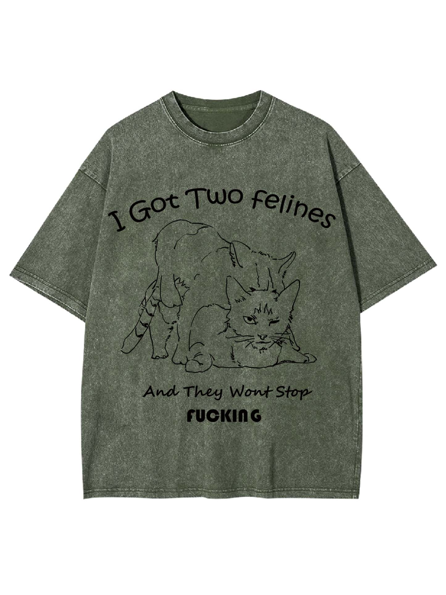 I Got Two Felines And They Want Stop Fucking Washed Tshirt-ClassyOutlaw
