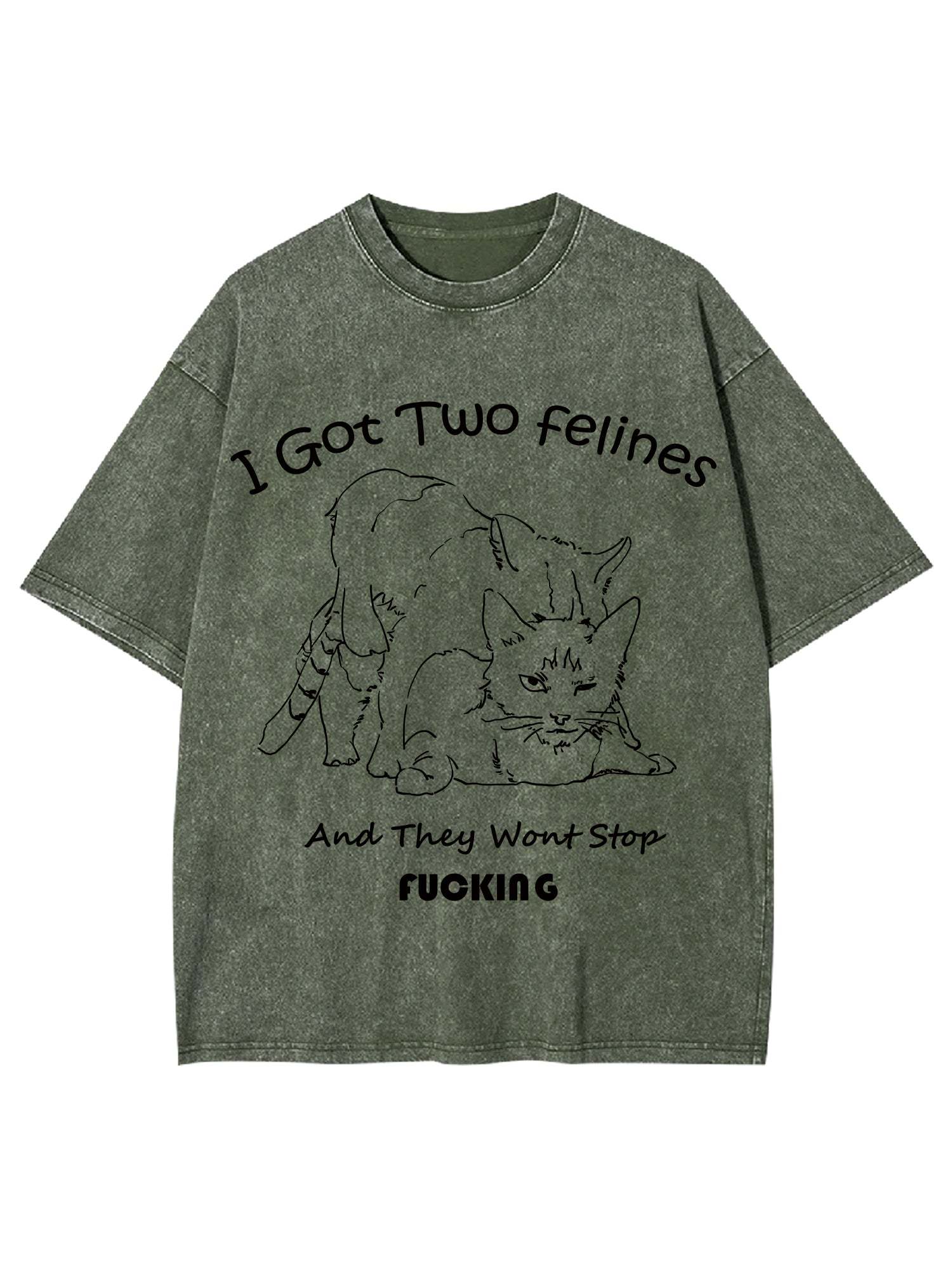 I Got Two Felines And They Want Stop Fucking Washed Tshirt-ClassyOutlaw